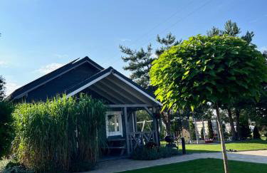 Przystanek Prawdowo - Foto 60