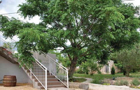 Holiday Home Slivnica Gornja 07 - Foto 9