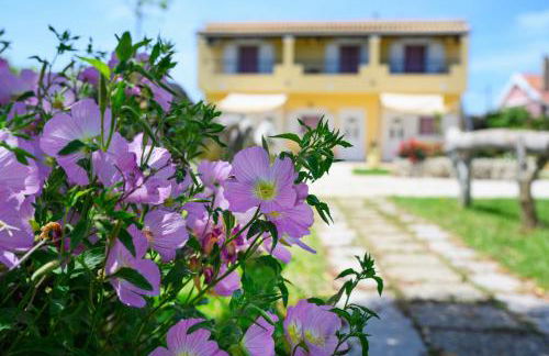 Harmony Corfu Apartments & Studios - Foto 45