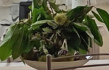 La Petite Maison - Foto 21