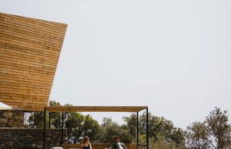 Five Olive Dream Trip - Photo 11