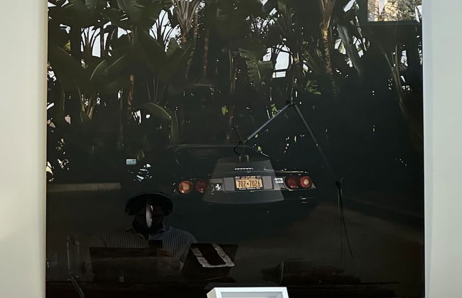 Exceptionally Unique Magnum Villa w Sea Views - Photo 13