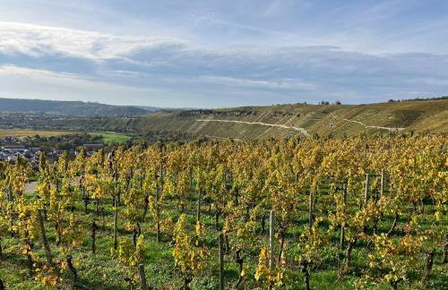 Wunderbare Aussicht - Foto 24