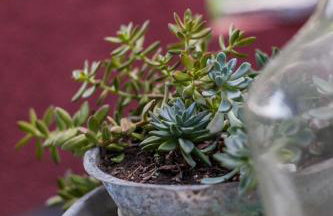 Zacharoulas Katikies - Foto 68