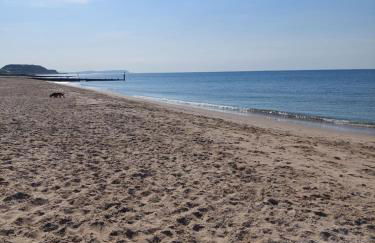 Apartment in Boscombe close to beach - Photo 36