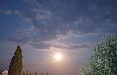 Kiki's Apartments - Foto 7