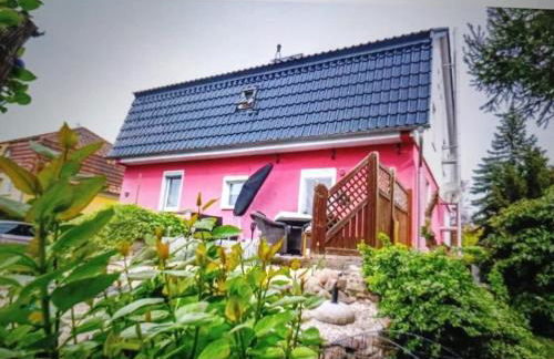 Holiday apartment with dog - Foto 3