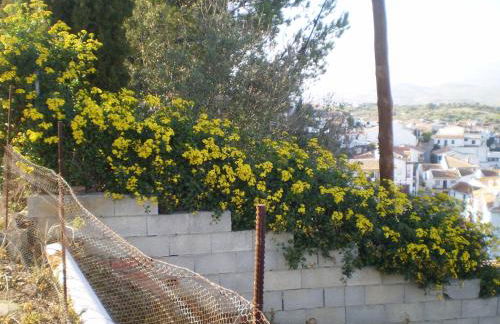 La Atalaya de Los Romanes - Foto 32