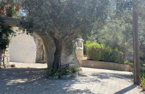 Quinta dos Canais - Photo 60