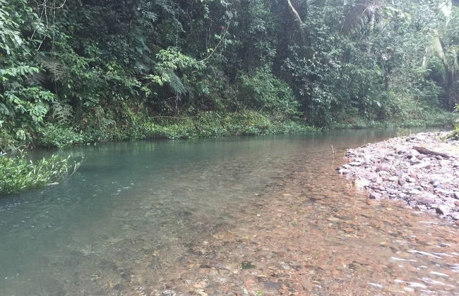 Orchard House - Photo 18