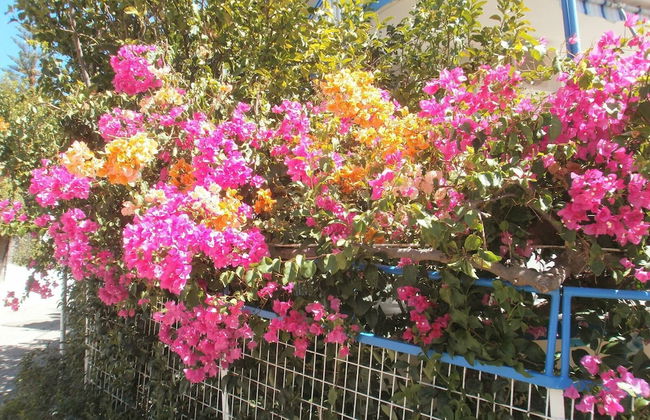 Seaview - Selfcatering Apartment - Helen No 1 - Foto 18