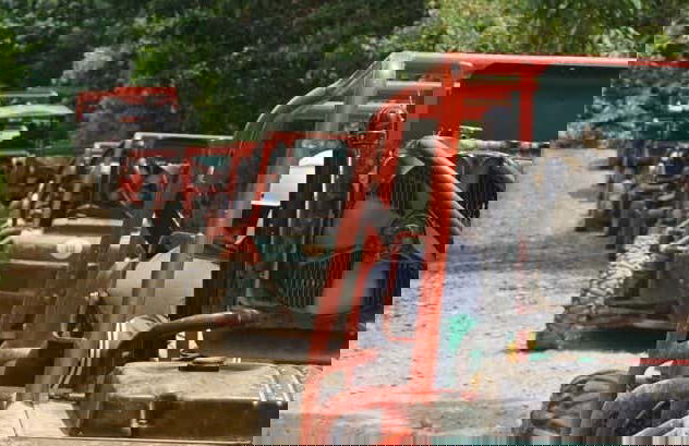 Sugar Field Buggy or Quad Bike Tour - Photo 1