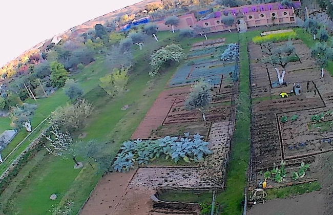 Charming Garden Retreat in Pedrogao Grande - Foto 33