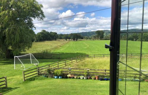 Mallard at Spring Head Farm - Foto 23