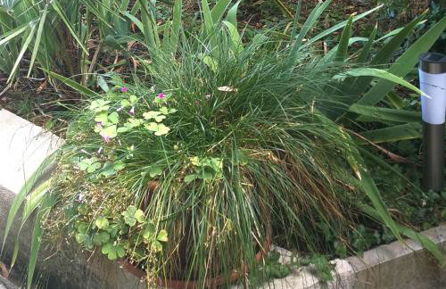 Secret Garden Apartment with private parking space - Photo 26