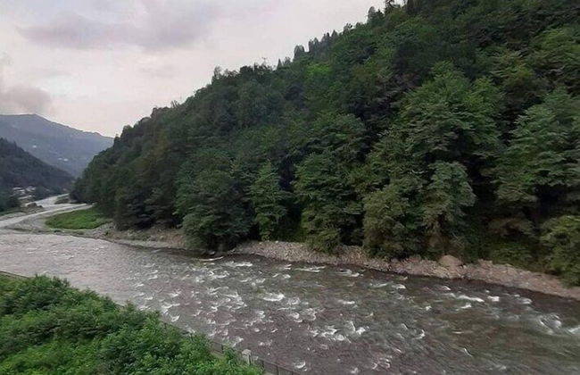 Zisto Apart Hotel & Bungalow - Photo 4