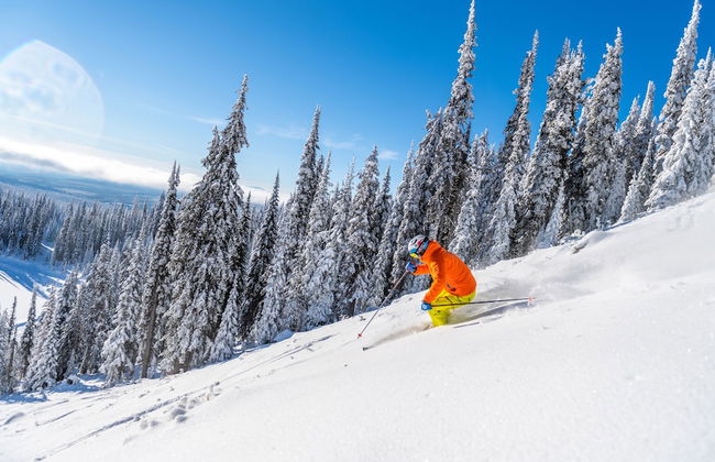 Sundance Resort - Photo 24