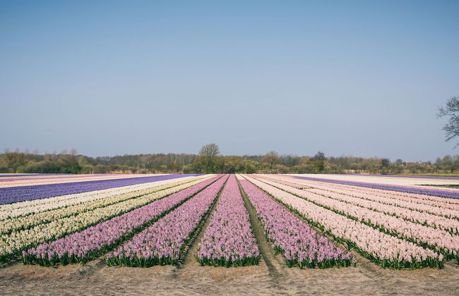 Villa Near Noordwijk Beach - Photo 42