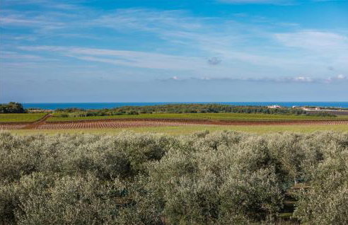 Buzinija Hp - Foto 22