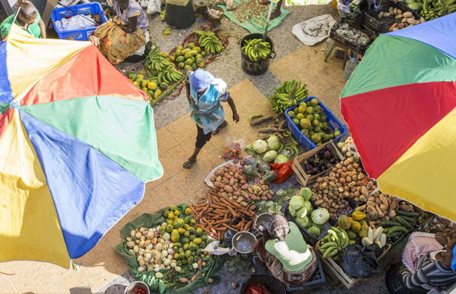 Santiago Island Tour - Foto 6