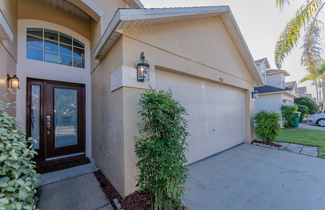 Rolling_hills_7965 - Foto 22