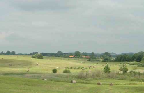 Stajnia Lisewo - Foto 26