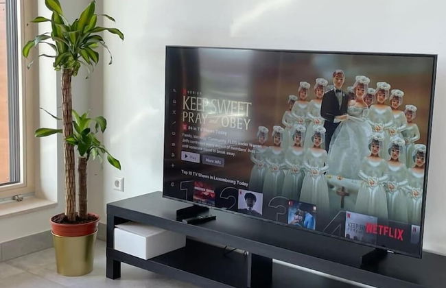 1 bedroom in Center-Terrace & Parking - Photo 13