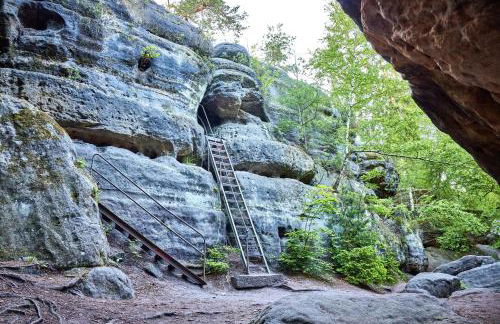 Ferienwohnung 3 am Hofladen Hellendorf - Foto 33