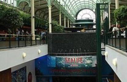 Disney cocooning à 5 minutes du Parc - Foto 28