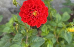 Ferienwohnung Emma - Photo 29