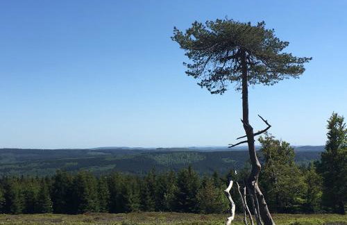 Berg- und Seeblick - Foto 48