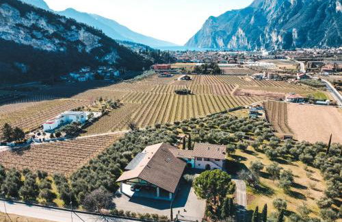 O-live Agriresort - Foto 4