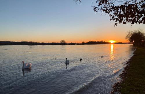 Ferienwohnung am Entenplatz - Foto 37