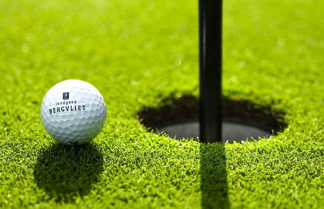 Bergvliet Villa's - Foto 69