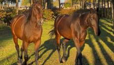 Agriturismo I Leprotti - Photo 4