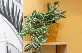 "La tête dans les étoiles", emplacement idéal - Foto 6