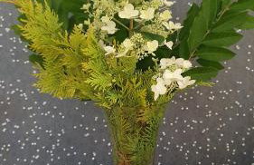 Apartament City Center JAPAN - no smoking, free bottled water, coffea and tea - Photo 19