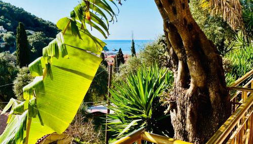 Tramonto Maisonettes & Suites - Foto 4, Garden