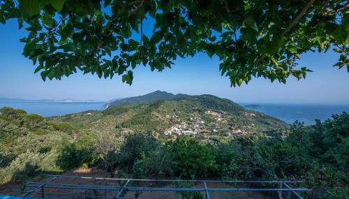 Blue Horizon - Foto 4