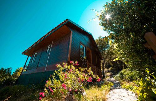 Marepromo Žirje - Foto 43