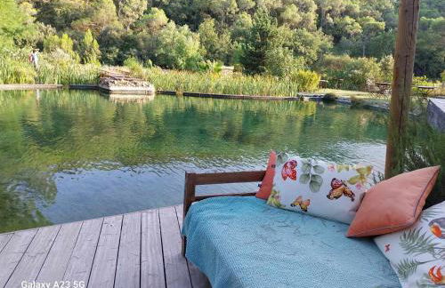 L'Etang Des Cigales - Foto 55