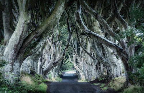 Ballintoy sea view - Foto 14