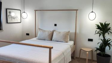 Volin Orebic - Photo 2