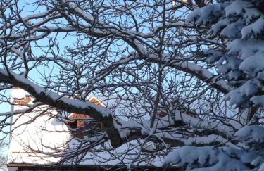 Ferienhaus Annabell - Foto 30