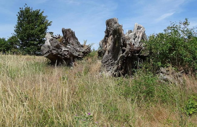 Spacious Holiday Home in Wienrode near Braunlage Ski Area - Foto 36