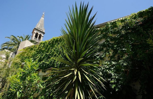 Apartments Vila Marija - Photo 56