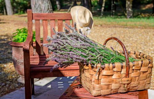 Le Clos de Bagalance - Photo 36