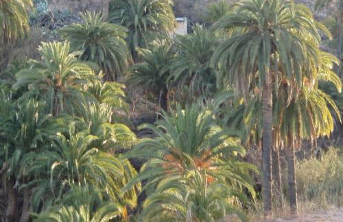 DRAGO 100, quiet and friendly - Foto 60