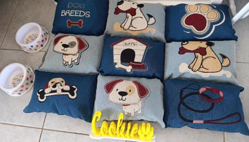 Casa Zaffiro - Sant' Isidoro - Foto 5