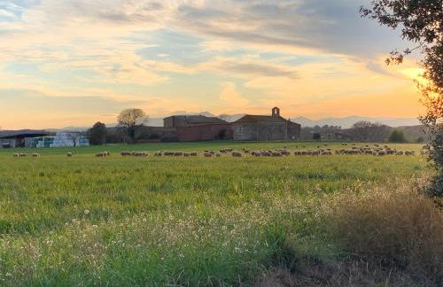 L'Heura, Casa terrassa Empordà Banyoles - Foto 33